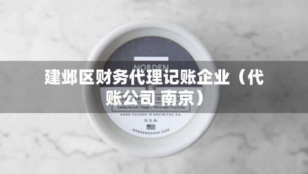 建鄴區(qū)財務(wù)代理記賬企業(yè)（代賬公司 南京）