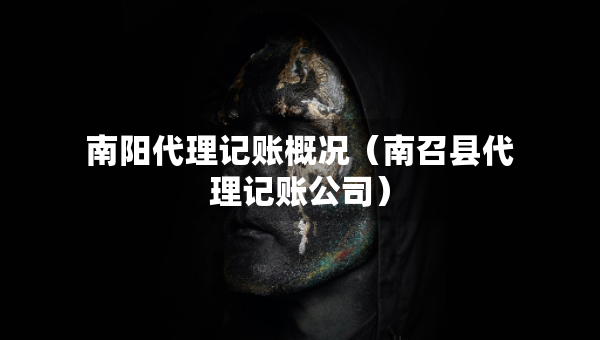 南陽代理記賬概況（南召縣代理記賬公司）