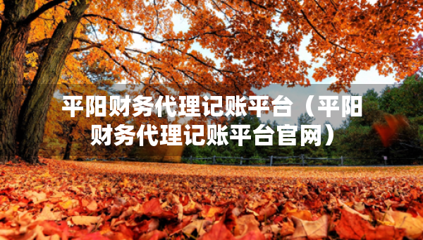 平陽財務代理記賬平臺（平陽財務代理記賬平臺官網）