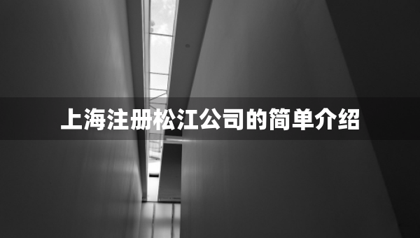 上海注冊松江公司的簡單介紹