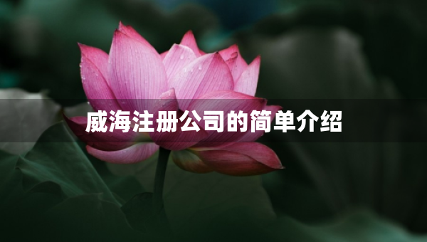 威海注冊(cè)公司的簡(jiǎn)單介紹