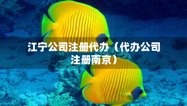 江寧公司注冊代辦（代辦公司注冊南京）
