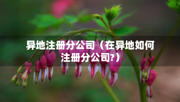 異地注冊(cè)分公司（在異地如何注冊(cè)分公司?）