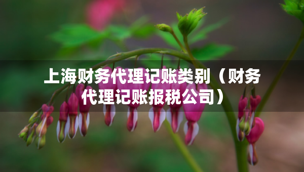 上海財務(wù)代理記賬類別（財務(wù)代理記賬報稅公司）