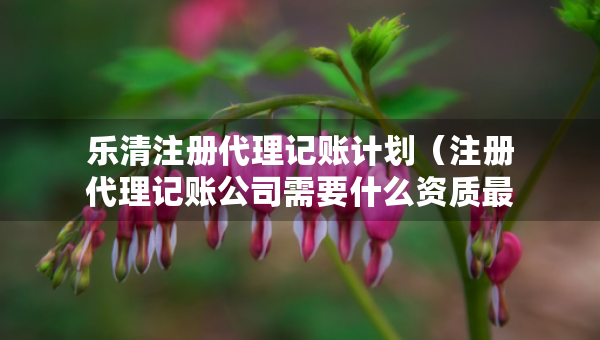 樂清注冊(cè)代理記賬計(jì)劃（注冊(cè)代理記賬公司需要什么資質(zhì)最新）