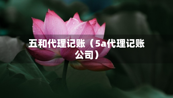 五和代理記賬（5a代理記賬公司）