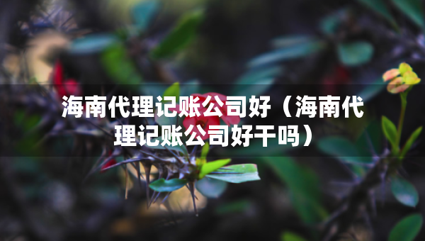 海南代理記賬公司好（海南代理記賬公司好干嗎）