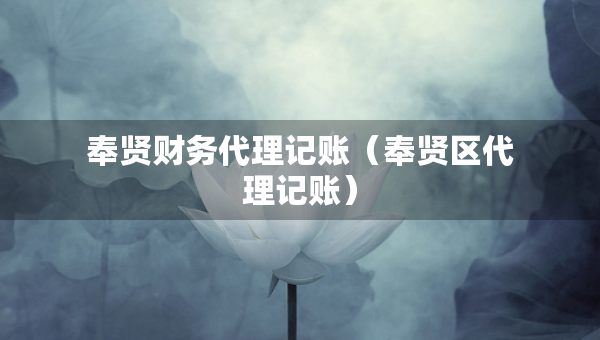 奉賢財(cái)務(wù)代理記賬（奉賢區(qū)代理記賬）