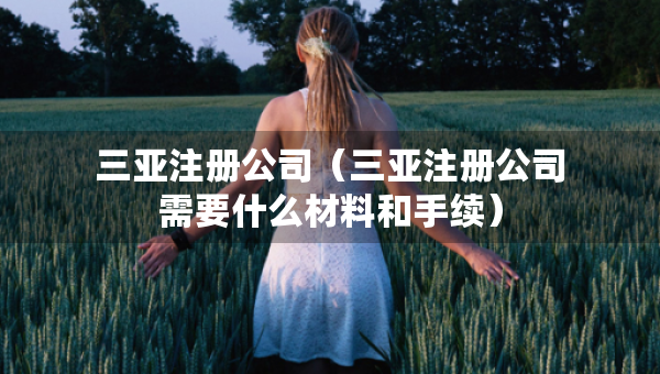 三亞注冊公司（三亞注冊公司需要什么材料和手續(xù)）