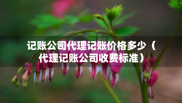 記賬公司代理記賬價(jià)格多少（代理記賬公司收費(fèi)標(biāo)準(zhǔn)）