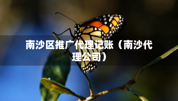 南沙區(qū)推廣代理記賬（南沙代理公司）