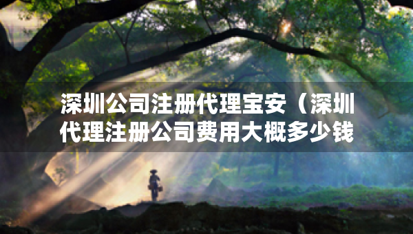 深圳公司注冊代理寶安（深圳代理注冊公司費用大概多少錢）