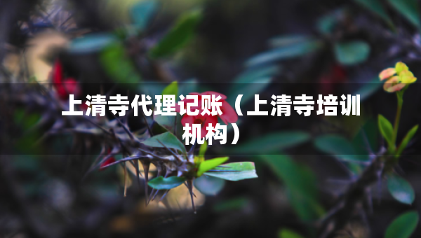 上清寺代理記賬（上清寺培訓機構）