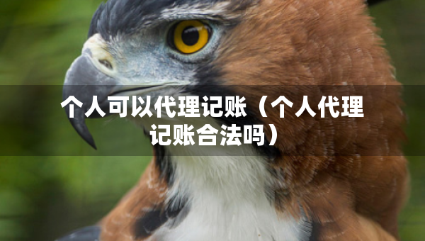 個人可以代理記賬（個人代理記賬合法嗎）