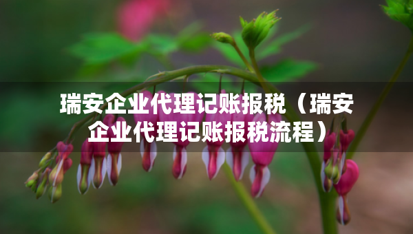 瑞安企業(yè)代理記賬報(bào)稅（瑞安企業(yè)代理記賬報(bào)稅流程）