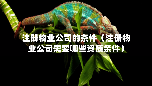 注冊物業(yè)公司的條件（注冊物業(yè)公司需要哪些資質(zhì)條件）