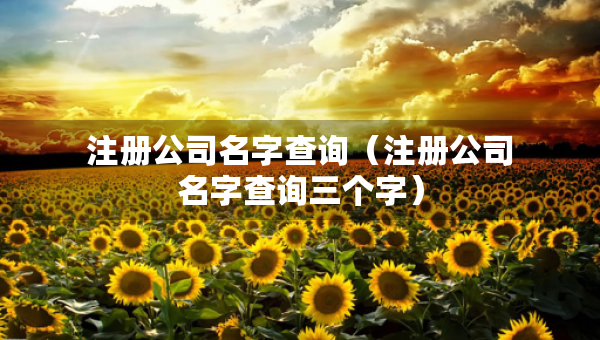 注冊(cè)公司名字查詢（注冊(cè)公司名字查詢?nèi)齻€(gè)字）