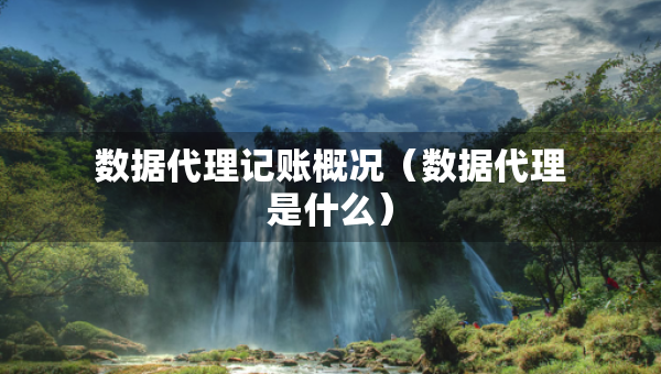 數(shù)據(jù)代理記賬概況（數(shù)據(jù)代理是什么）