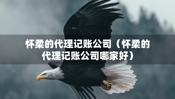 懷柔的代理記賬公司（懷柔的代理記賬公司哪家好）