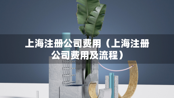 上海注冊(cè)公司費(fèi)用（上海注冊(cè)公司費(fèi)用及流程）