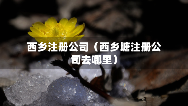 西鄉(xiāng)注冊公司（西鄉(xiāng)塘注冊公司去哪里）