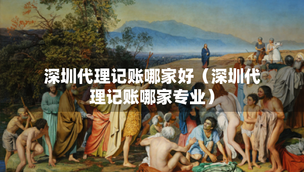 深圳代理記賬哪家好（深圳代理記賬哪家專業(yè)）