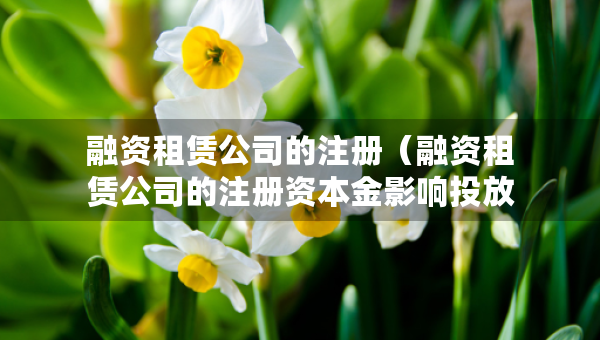 融資租賃公司的注冊(cè)（融資租賃公司的注冊(cè)資本金影響投放嗎）
