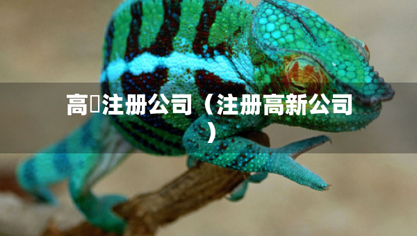 高埗注冊(cè)公司（注冊(cè)高新公司）
