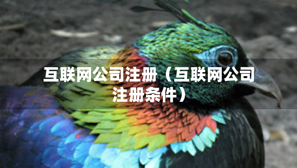 互聯(lián)網(wǎng)公司注冊（互聯(lián)網(wǎng)公司注冊條件）