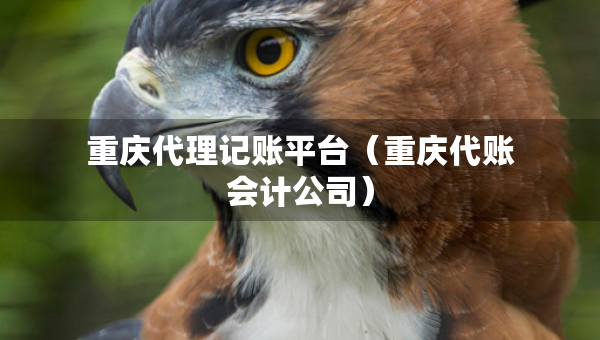 重慶代理記賬平臺(tái)（重慶代賬會(huì)計(jì)公司）