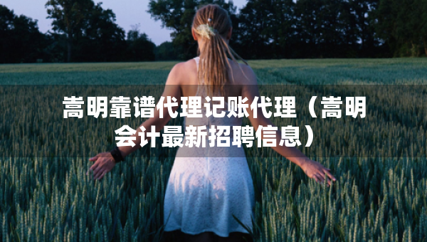 嵩明靠譜代理記賬代理（嵩明會計最新招聘信息）