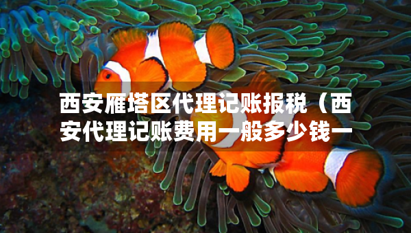 西安雁塔區(qū)代理記賬報(bào)稅（西安代理記賬費(fèi)用一般多少錢(qián)一個(gè)月）
