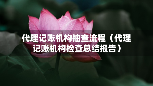 代理記賬機構(gòu)抽查流程（代理記賬機構(gòu)檢查總結(jié)報告）