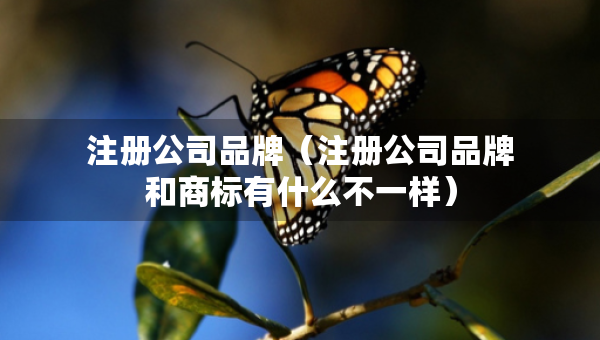 注冊公司品牌（注冊公司品牌和商標(biāo)有什么不一樣）
