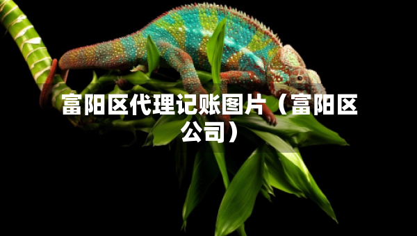 富陽區(qū)代理記賬圖片（富陽區(qū)公司）