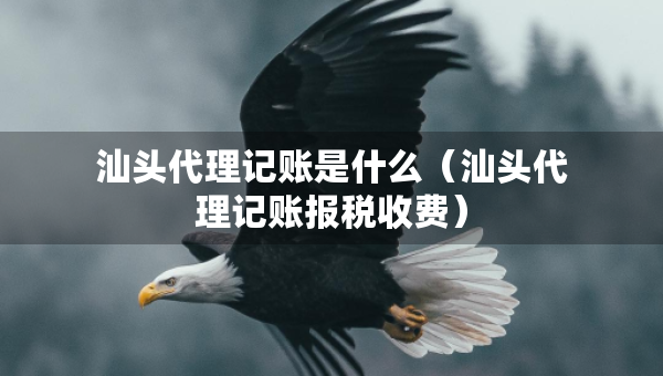 汕頭代理記賬是什么（汕頭代理記賬報(bào)稅收費(fèi)）