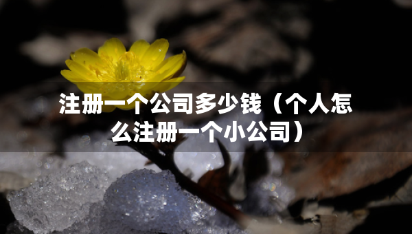 注冊(cè)一個(gè)公司多少錢(qián)（個(gè)人怎么注冊(cè)一個(gè)小公司）