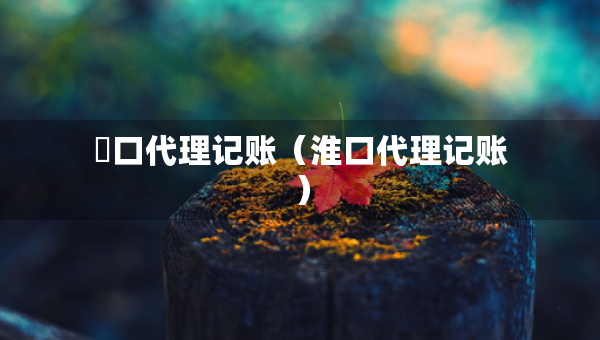 硚口代理記賬（淮口代理記賬）