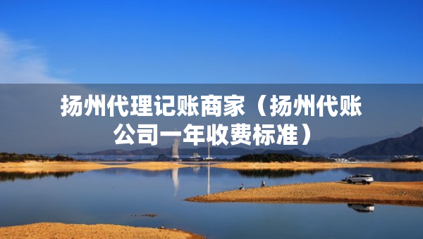 揚(yáng)州代理記賬商家（揚(yáng)州代賬公司一年收費(fèi)標(biāo)準(zhǔn)）