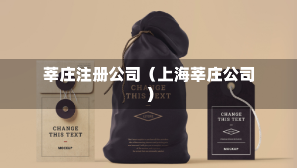莘莊注冊公司（上海莘莊公司）