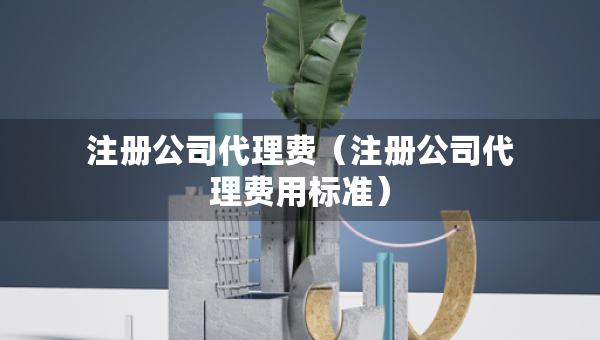 注冊(cè)公司代理費(fèi)（注冊(cè)公司代理費(fèi)用標(biāo)準(zhǔn)）