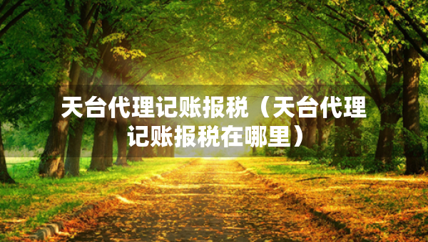 天臺代理記賬報稅（天臺代理記賬報稅在哪里）