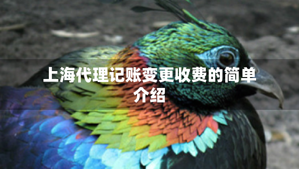 上海代理記賬變更收費(fèi)的簡(jiǎn)單介紹