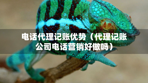 電話代理記賬優(yōu)勢(shì)（代理記賬公司電話營(yíng)銷好做嗎）