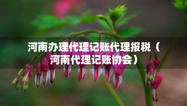 河南辦理代理記賬代理報(bào)稅（河南代理記賬協(xié)會(huì)）