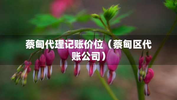蔡甸代理記賬價位（蔡甸區(qū)代賬公司）