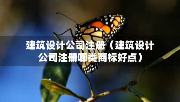 建筑設計公司注冊（建筑設計公司注冊哪類商標好點）