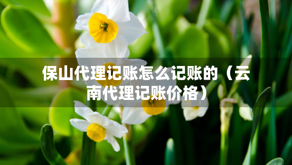保山代理記賬怎么記賬的（云南代理記賬價格）