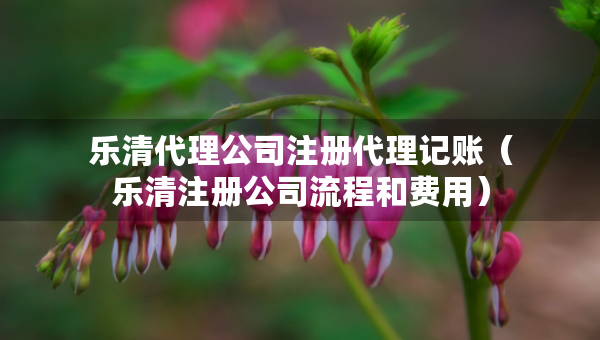 樂清代理公司注冊代理記賬（樂清注冊公司流程和費用）