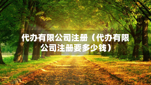 代辦有限公司注冊（代辦有限公司注冊要多少錢）